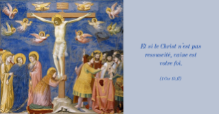 Vœux de Pâques du Dicastère